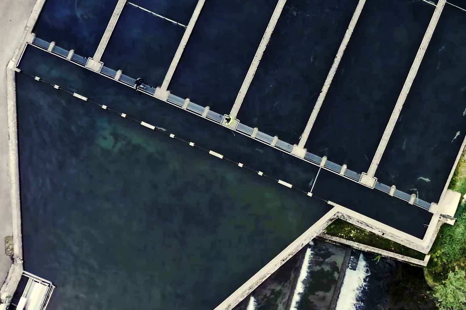 Proyecto - Corporativo