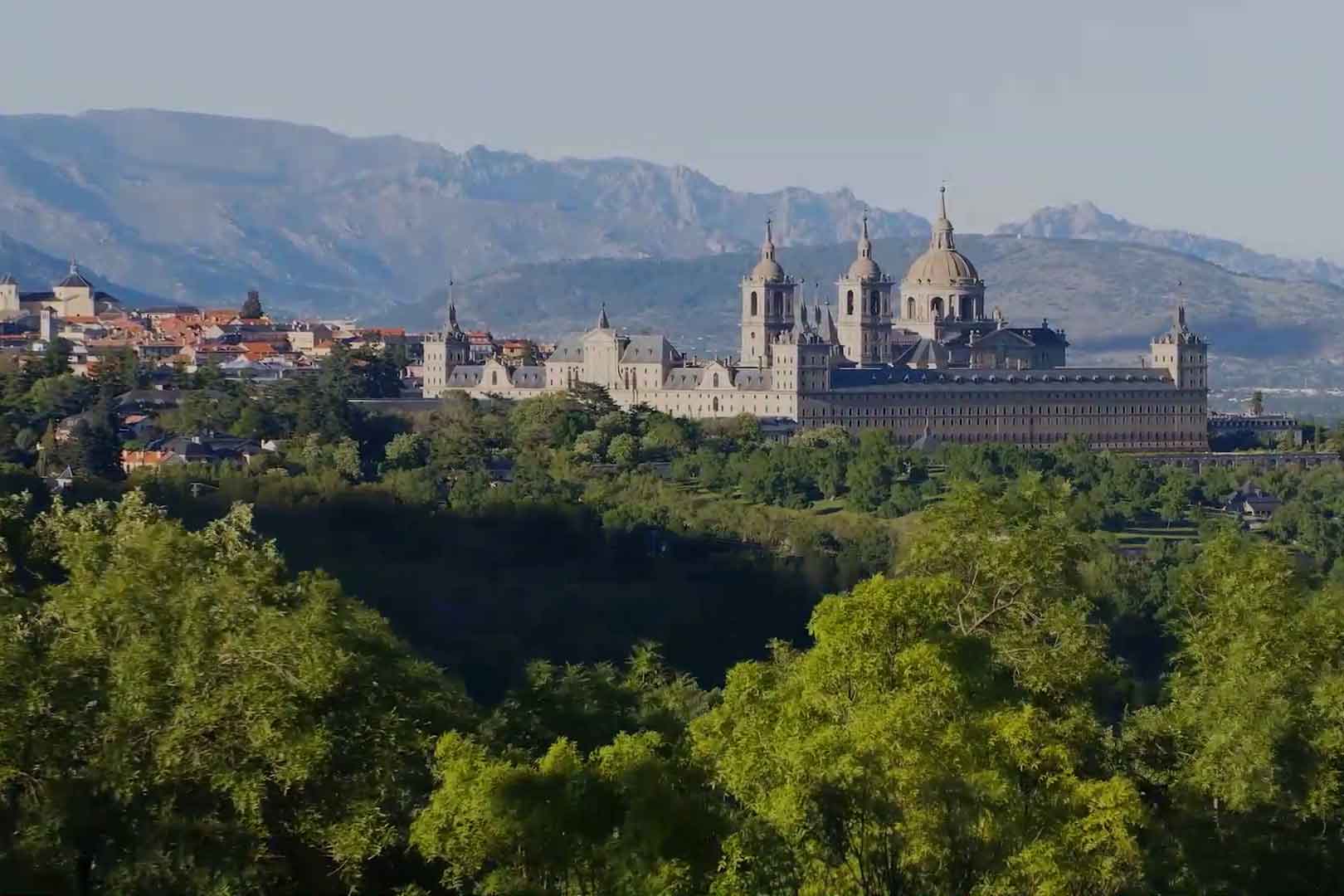 Proyecto - Publicidad