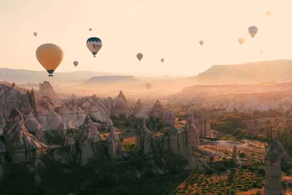 Proyecto - Promocional